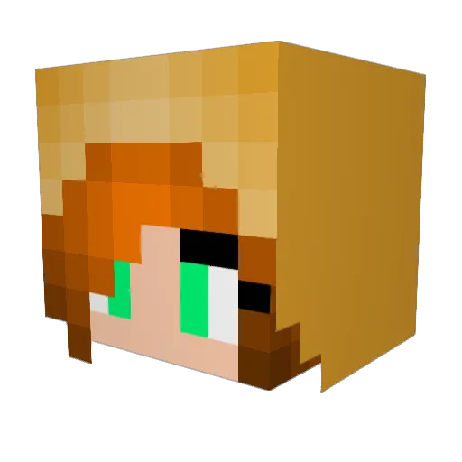ZombieBaconnator Minecraft avatar head, 3D render