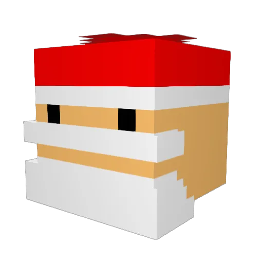 ZombieEnder5 Minecraft avatar head, 3D render