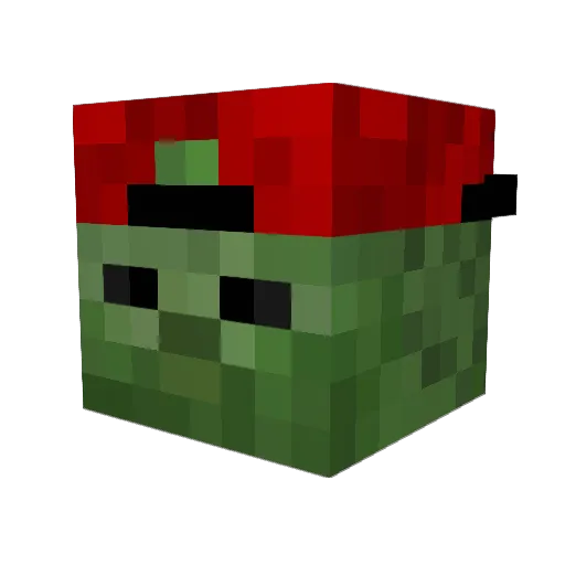 ZombieHunter191 Minecraft avatar head, 3D render