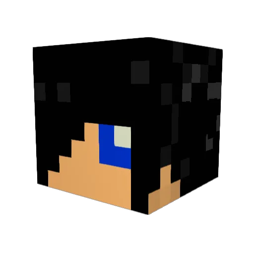 ZombieHunter513 Minecraft avatar head, 3D render