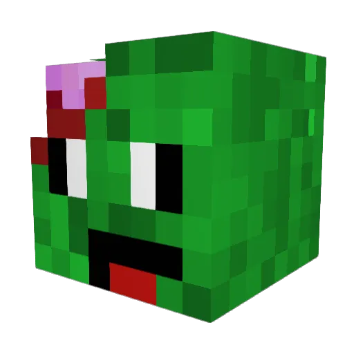 ZombieKid314 Minecraft avatar head, 3D render