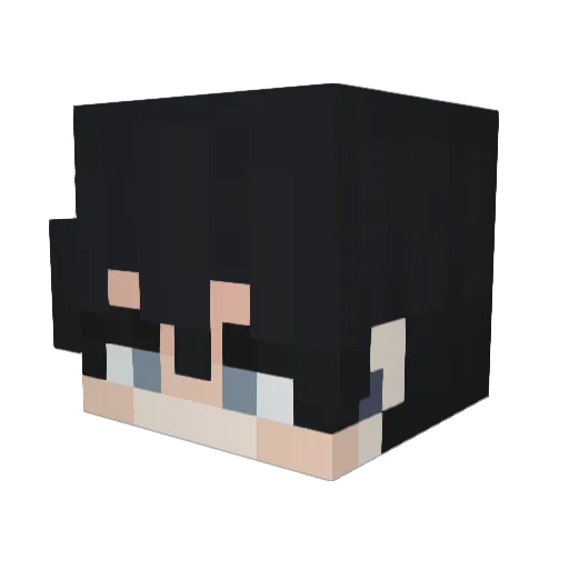 ZombieKiller017 Minecraft avatar head, 3D render
