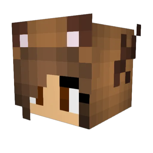 ZombieKiller2104 Minecraft avatar head, 3D render