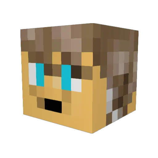 ZombieKiller5670 Minecraft avatar head, 3D render