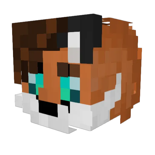 ZombieKillerK22 Minecraft avatar head, 3D render