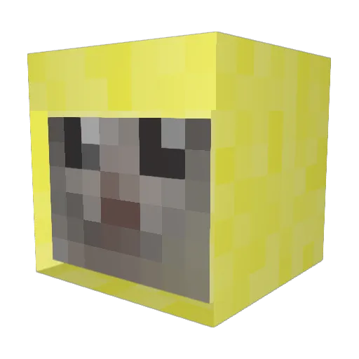ZombieKing2464 Minecraft avatar head, 3D render