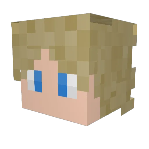 ZombieSlayer1000 Minecraft avatar head, 3D render