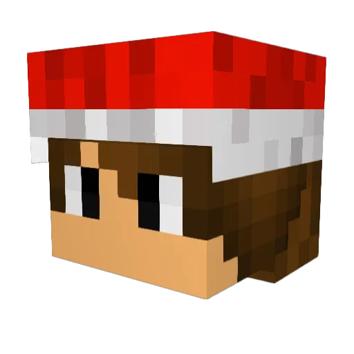 ZombieSlayerx2 Minecraft avatar head, 3D render