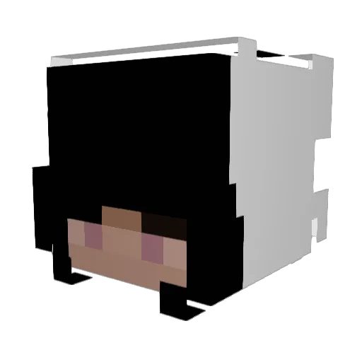 ZombieZocker577 Minecraft avatar head, 3D render