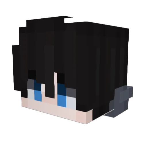 Zombie_595 Minecraft avatar head, 3D render