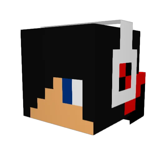 Zombie_Bunnies Minecraft avatar head, 3D render