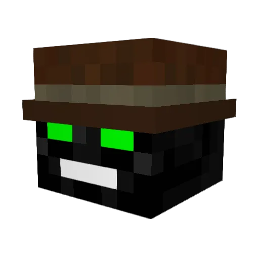 Zombie_Killer575 Minecraft avatar head, 3D render