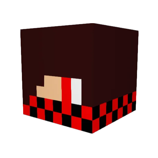 Zombie_Slayer237 Minecraft avatar head, 3D render