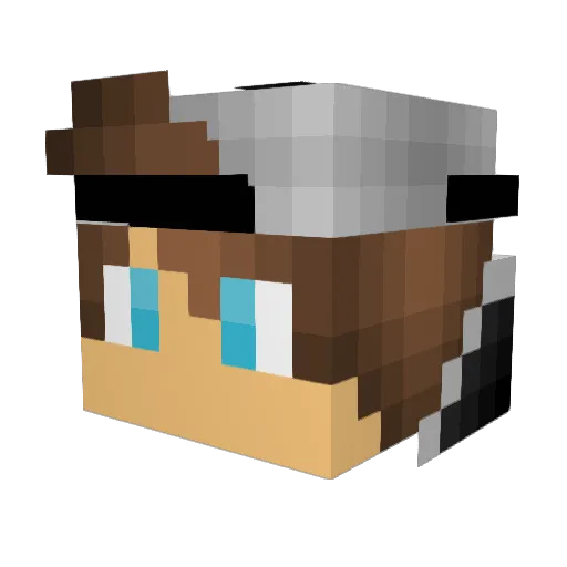 Zombie_Slayer_94 Minecraft avatar head, 3D render