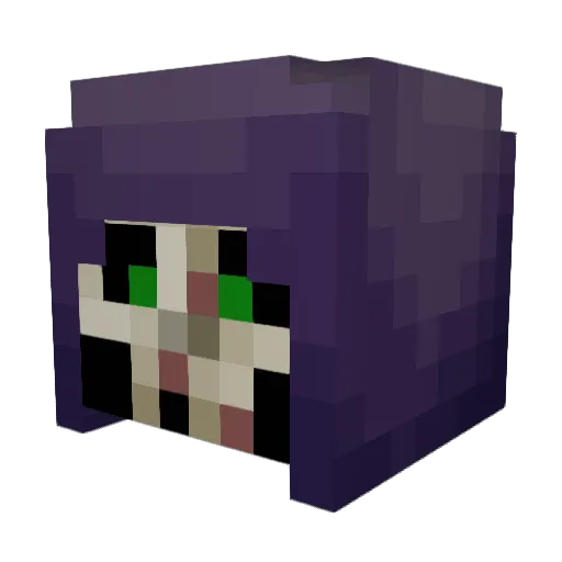 Zombie_Toes Minecraft avatar head, 3D render
