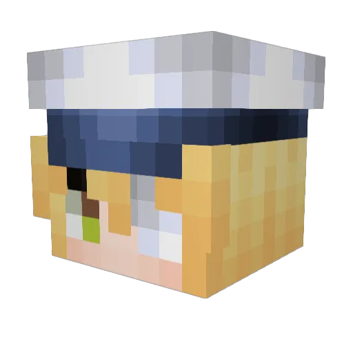 Zombie_Tuna Minecraft avatar head, 3D render