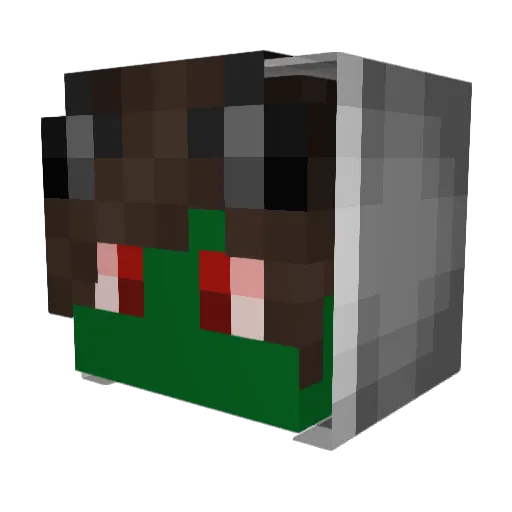 Zombie__Cat Minecraft avatar head, 3D render