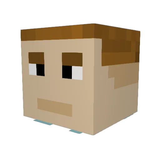 Zombie_hunter62 Minecraft avatar head, 3D render