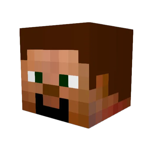 Zombie_sheeps Minecraft avatar head, 3D render
