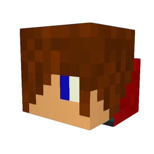 Zombiefarts Minecraft avatar head, 3D render