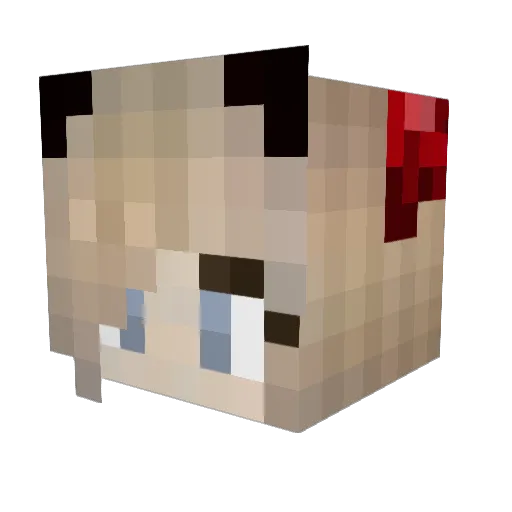 Zombieknuddlerin Minecraft avatar head, 3D render