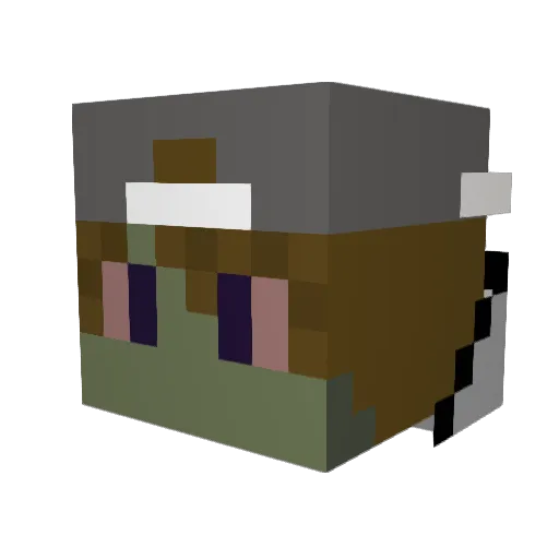 Zombieman1234 Minecraft avatar head, 3D render
