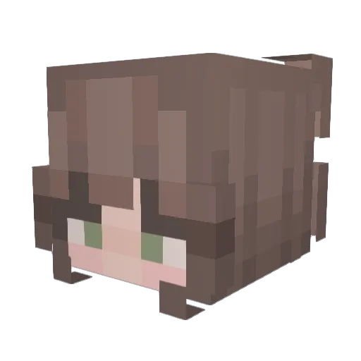 Zombiepigman2008 Minecraft avatar head, 3D render