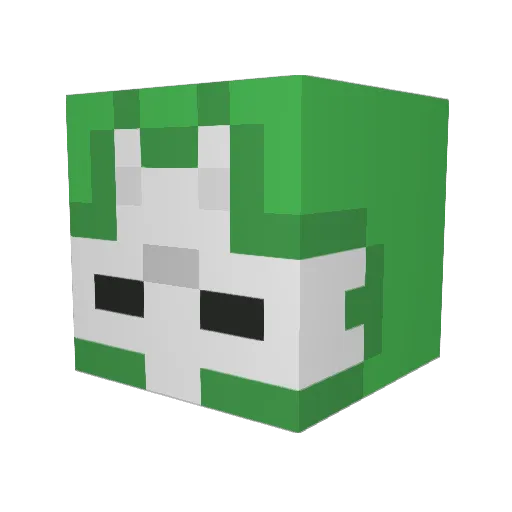 Zombieracer50 Minecraft avatar head, 3D render