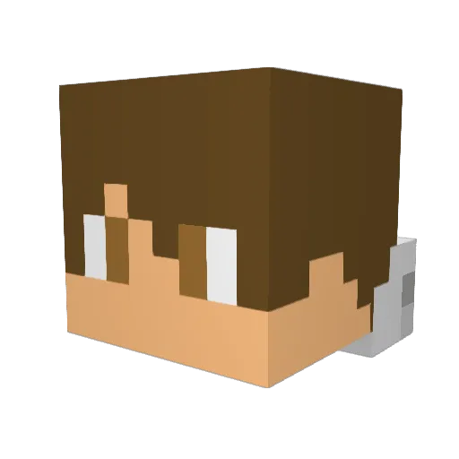 Zombieslayer4626 Minecraft avatar head, 3D render