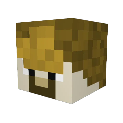 ZombieslayerBP Minecraft avatar head, 3D render