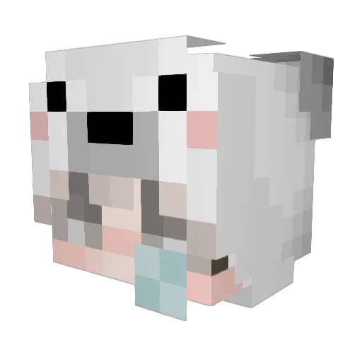 Zombietimo003 Minecraft avatar head, 3D render