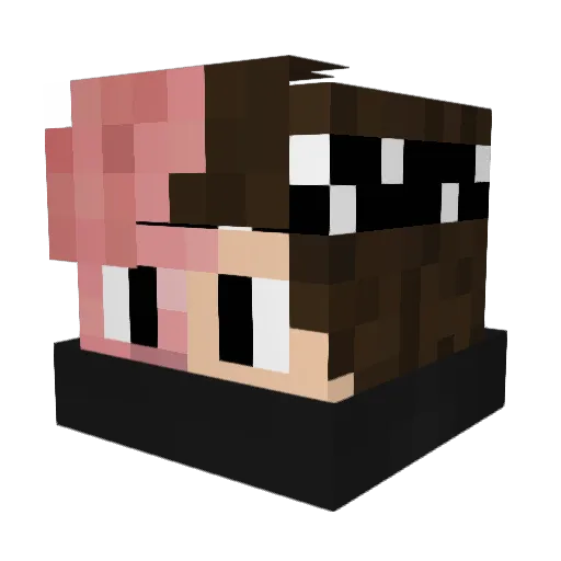 Zombimaxefe35 Minecraft avatar head, 3D render
