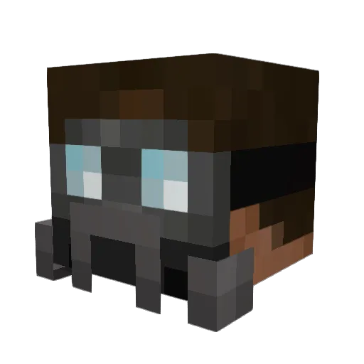 Zompoc Minecraft avatar head, 3D render