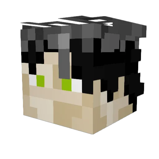 Zonamur Minecraft avatar head, 3D render