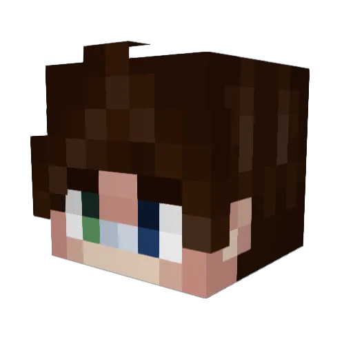Zonan1 Minecraft avatar head, 3D render