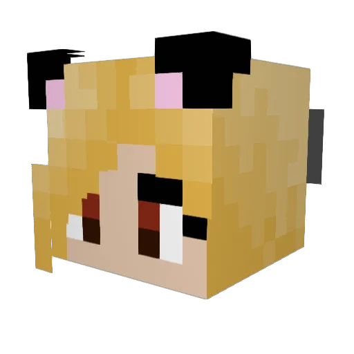 Zondahh Minecraft avatar head, 3D render