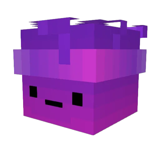 Zondium Minecraft avatar head, 3D render