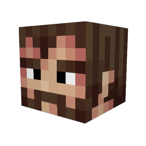 Zonespace27 Minecraft avatar head, 3D render