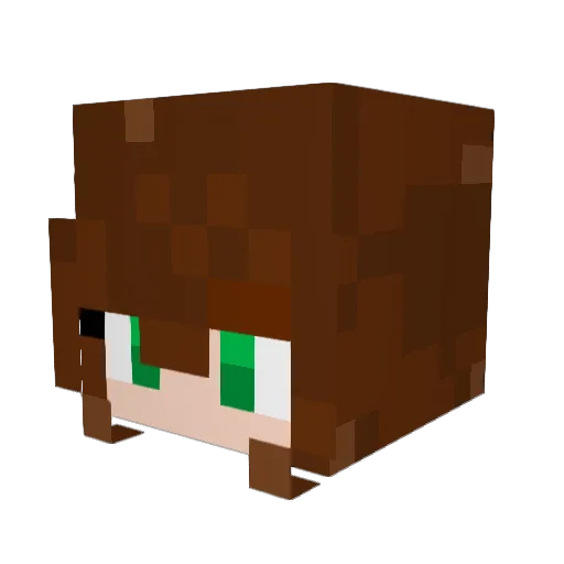 Zonieldis Minecraft avatar head, 3D render