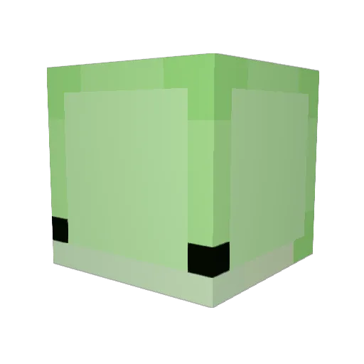Zonk_00 Minecraft avatar head, 3D render