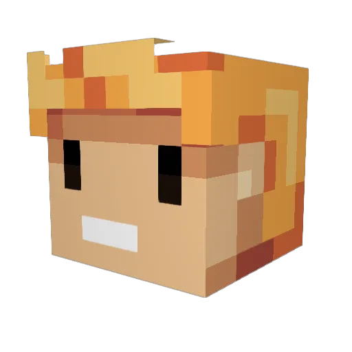 ZonkedTaxman Minecraft avatar head, 3D render