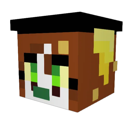 Zonkill2021 Minecraft avatar head, 3D render