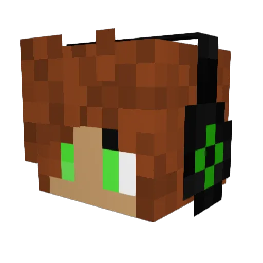 Zonkyla Minecraft avatar head, 3D render