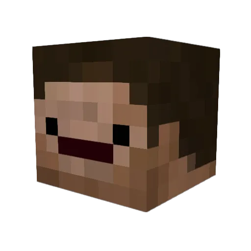 Zons Minecraft avatar head, 3D render
