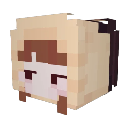 Zontik909 Minecraft avatar head, 3D render
