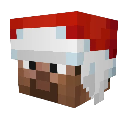 Zoo0me Minecraft avatar head, 3D render