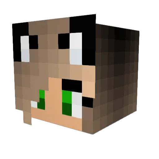 Zoo2704 Minecraft avatar head, 3D render