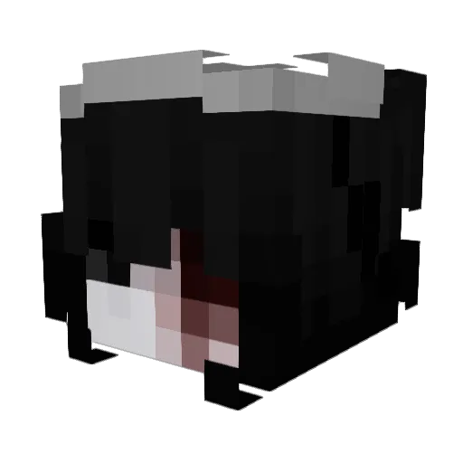 ZooI_ Minecraft avatar head, 3D render