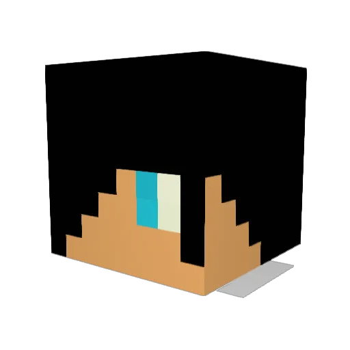 ZooMeR2 Minecraft avatar head, 3D render