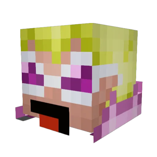 ZooRag Minecraft avatar head, 3D render